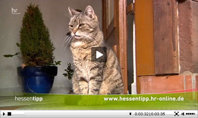 hr-fernsehen berichtet über das Hofgut Rimbach hr-fernsehen berichtet über das Hofgut Rimbach